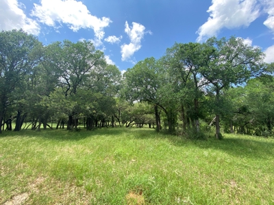 River Front Property for Sale in Central Texas – 300+/- Acre - image 5
