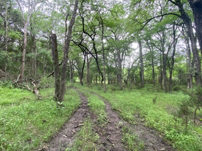 River Front Property for Sale in Central Texas – 300+/- Acre - image 31