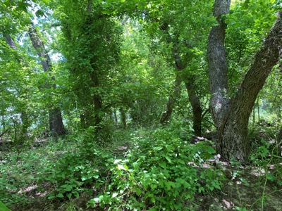 River Front Property for Sale in Central Texas – 300+/- Acre - image 28