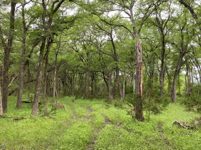 River Front Property for Sale in Central Texas – 300+/- Acre - image 6