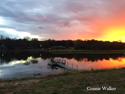 Resort Lot for Sale - image 7
