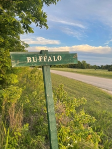 Resort Lot for Sale - image 9