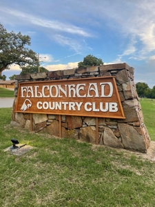 Resort Lot for Sale - image 11