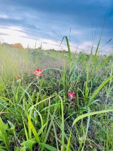 Resort Lot for Sale - image 2