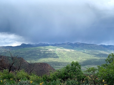 Mountain Top Land For Sale In Mancos, Co! - image 8