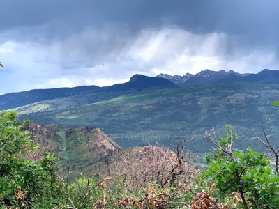 Mountain Top Land For Sale In Mancos, Co! - image 15