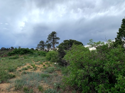 Mountain Top Land For Sale In Mancos, Co! - image 6