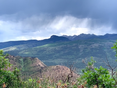 Mountain Top Land For Sale In Mancos, Co! - image 16