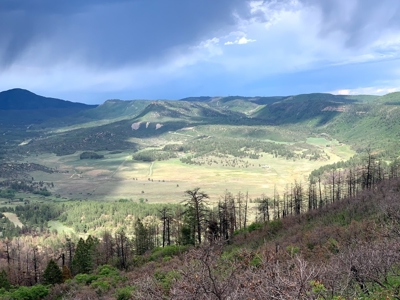 Mountain Top Land For Sale In Mancos, Co! - image 17