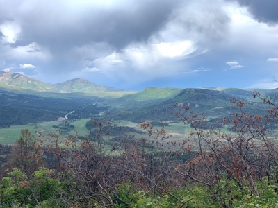 Mountain Top Land For Sale In Mancos, Co! - image 3