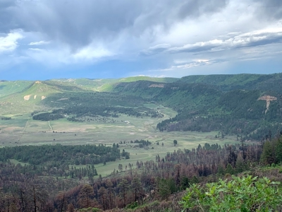 Mountain Top Land For Sale In Mancos, Co! - image 10