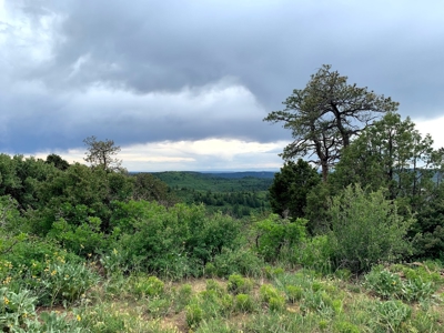 Mountain Top Land For Sale In Mancos, Co! - image 18
