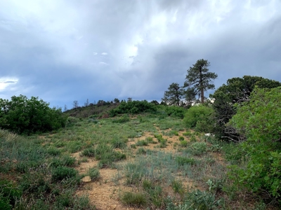 Mountain Top Land For Sale In Mancos, Co! - image 5
