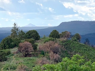 Mountain Top Land For Sale In Mancos, Co! - image 19