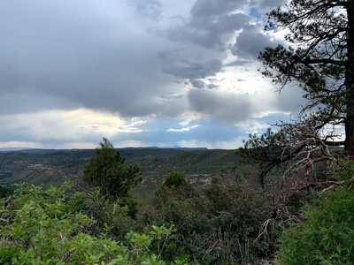 Mountain Top Land For Sale In Mancos, Co! - image 12