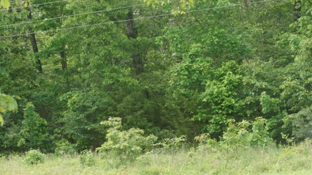 Acreage with Lakefront View in Horseshoe Bend, AR - image 2