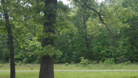 Acreage with Lakefront View in Horseshoe Bend, AR - image 4