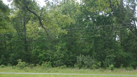 Acreage with Lakefront View in Horseshoe Bend, AR - image 3