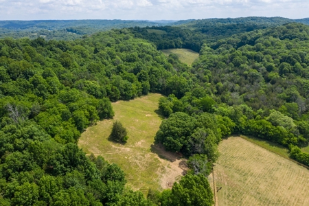 Equine Farm for Sale with Acreage in Lincoln Co., Tennessee - image 3