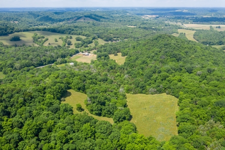 Equine Farm for Sale with Acreage in Lincoln Co., Tennessee - image 48