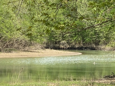 Waterfront Land For Sale In Savannah, Tn On Indian Creek - image 6