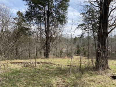 Waterfront Land For Sale In Savannah, Tn On Indian Creek - image 18