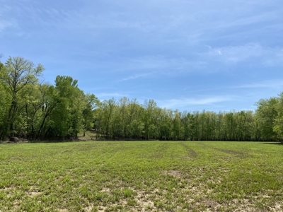 Waterfront Land For Sale In Savannah, Tn On Indian Creek - image 13