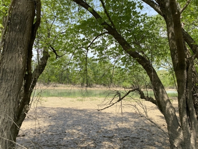 Waterfront Land For Sale In Savannah, Tn On Indian Creek - image 5