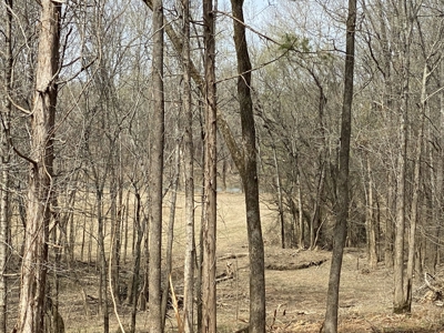 Waterfront Land For Sale In Savannah, Tn On Indian Creek - image 20