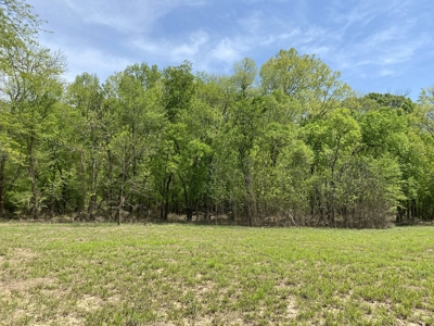 Waterfront Land For Sale In Savannah, Tn On Indian Creek - image 8