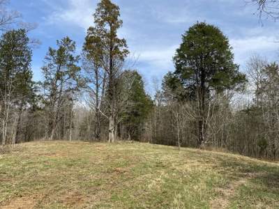Waterfront Land For Sale In Savannah, Tn On Indian Creek - image 16