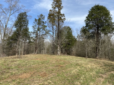 Waterfront Land For Sale In Savannah, Tn On Indian Creek - image 15