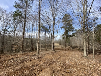 Waterfront Land For Sale In Savannah, Tn On Indian Creek - image 22