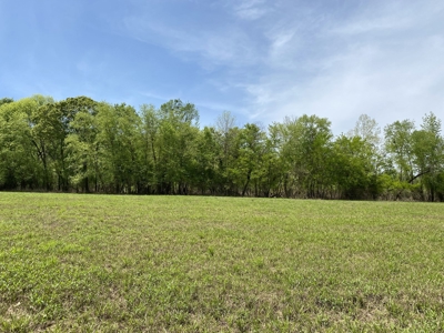 Waterfront Land For Sale In Savannah, Tn On Indian Creek - image 12