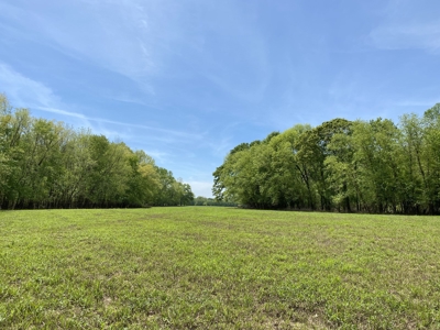 Waterfront Land For Sale In Savannah, Tn On Indian Creek - image 11