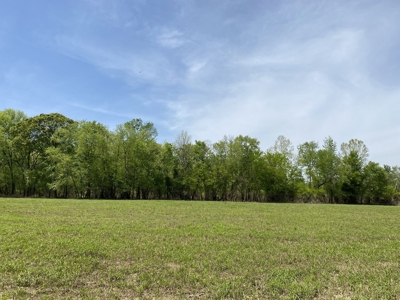 Waterfront Land For Sale In Savannah, Tn On Indian Creek - image 9