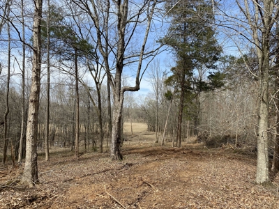 Waterfront Land For Sale In Savannah, Tn On Indian Creek - image 21