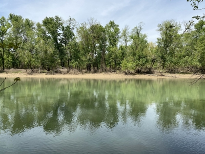 Waterfront Land For Sale In Savannah, Tn On Indian Creek - image 4