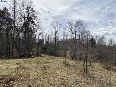 Waterfront Land For Sale In Savannah, Tn On Indian Creek - image 17