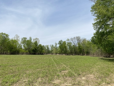 Waterfront Land For Sale In Savannah, Tn On Indian Creek - image 10