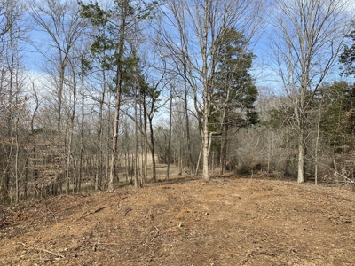 Waterfront Land For Sale In Savannah, Tn On Indian Creek - image 19