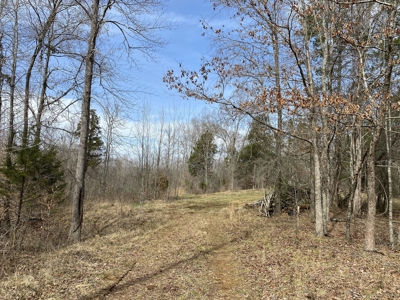Waterfront Land For Sale In Savannah, Tn On Indian Creek - image 14