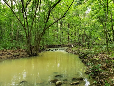 28 Acre Sugarloaf Mountain Wooded Home Site - For Sale - image 7