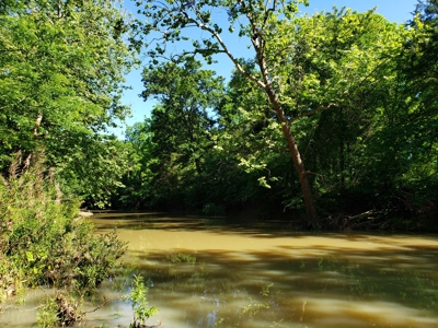 28 Acre Sugarloaf Mountain Wooded Home Site - For Sale - image 15