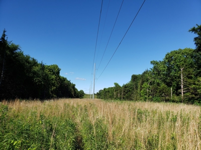 28 Acre Sugarloaf Mountain Wooded Home Site - For Sale - image 10