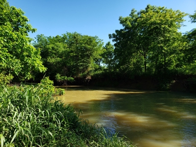 28 Acre Sugarloaf Mountain Wooded Home Site - For Sale - image 13
