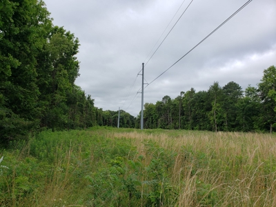 28 Acre Sugarloaf Mountain Wooded Home Site - For Sale - image 5