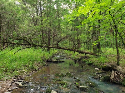28 Acre Sugarloaf Mountain Wooded Home Site - For Sale - image 3