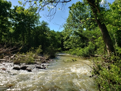 28 Acre Sugarloaf Mountain Wooded Home Site - For Sale - image 14