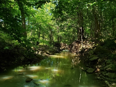 28 Acre Sugarloaf Mountain Wooded Home Site - For Sale - image 18